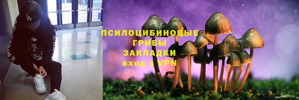mix Новодвинск