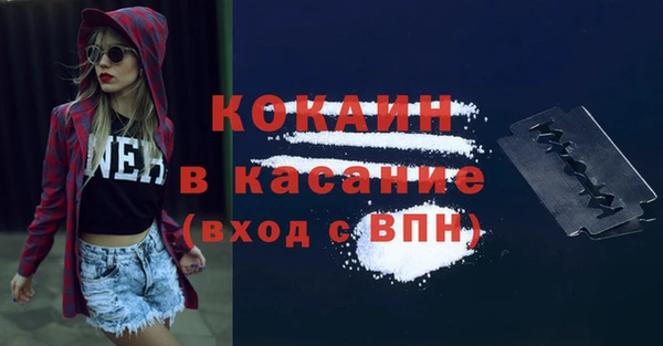 бошки Няндома