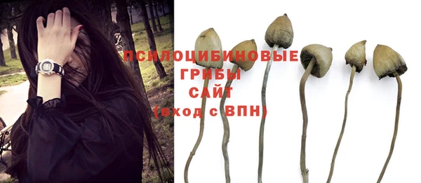 гидра Новокубанск