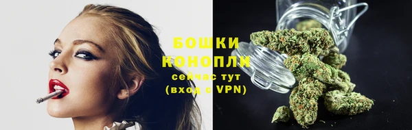 бошки Няндома