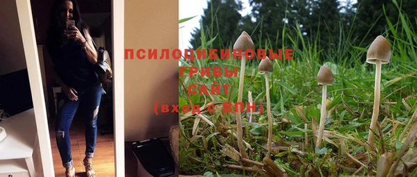 твердый Нязепетровск