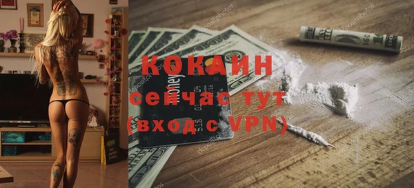 бошки Няндома
