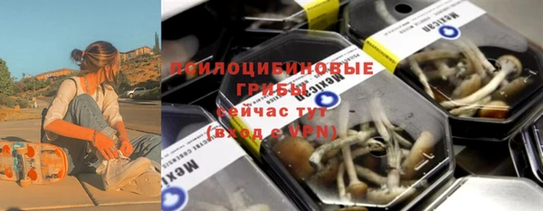 бошки Няндома