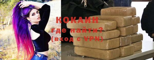 бошки Няндома