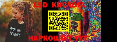 spice Гатчина