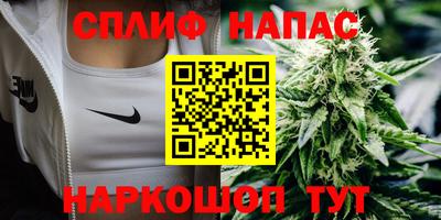 сатива Балахна