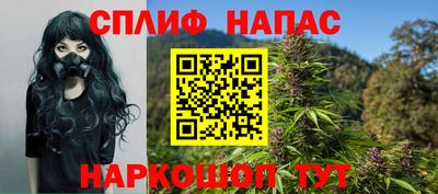 сатива Балахна