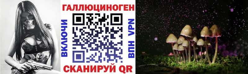 Галлюциногенные грибы GOLDEN TEACHER  кракен tor  Богородицк  наркота 