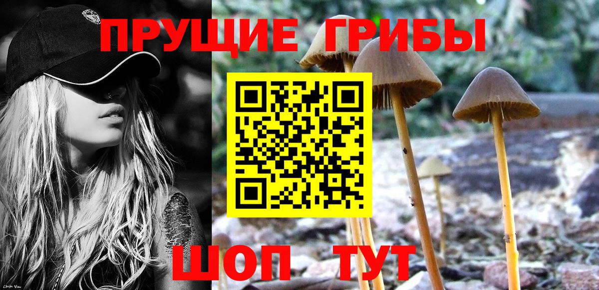 Галлюциногенные грибы мицелий Богородицк