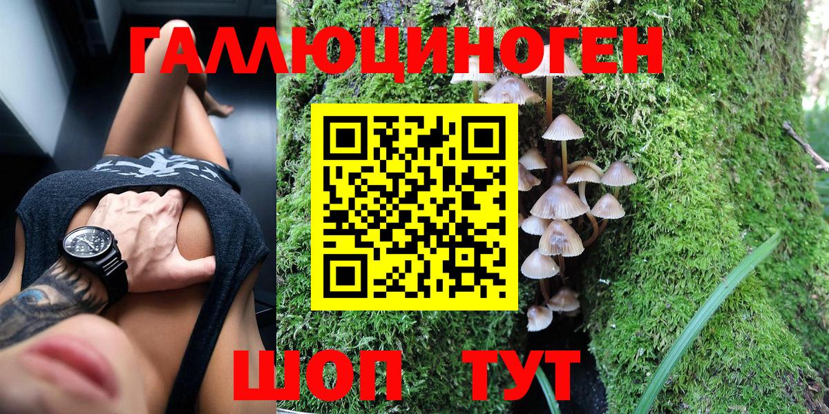 Богородицк  Экстази  Меф МЯУ МЯУ кристаллы  Гашиш  MDMA  Канабис  ГЕРОИН  Alpha-PVP СК   КОКАИН 