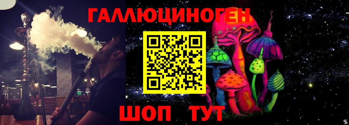 Богородицк  Псилоцибиновые грибы Magic Shrooms  Псилоцибиновые грибы Psilocybine cubensis  Вход с VPN 